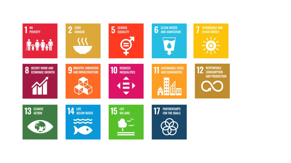SDGs FiM Website new