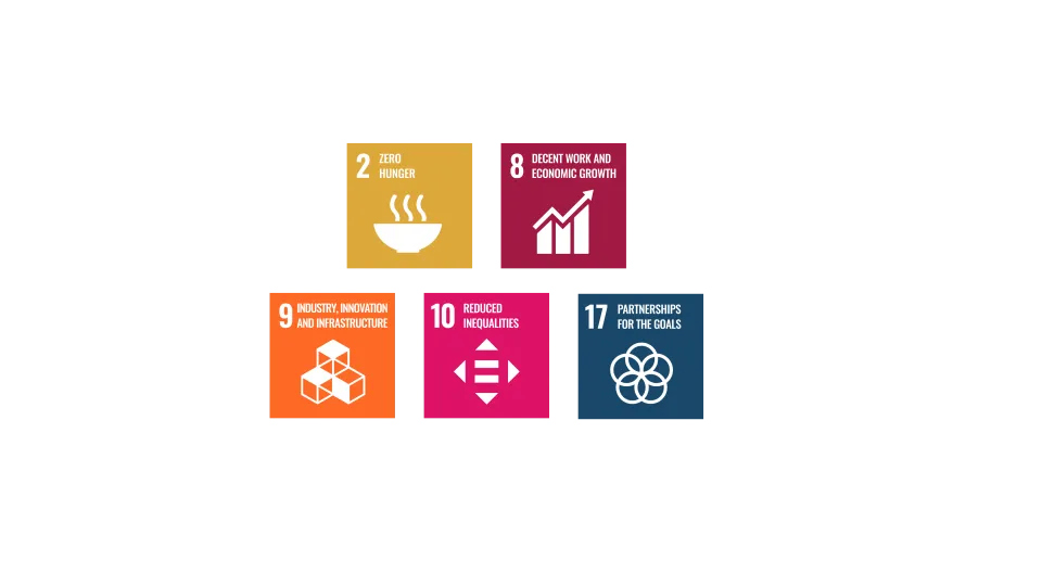 sdg