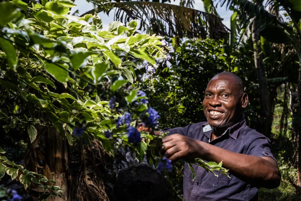 kenya kakameg agriculture