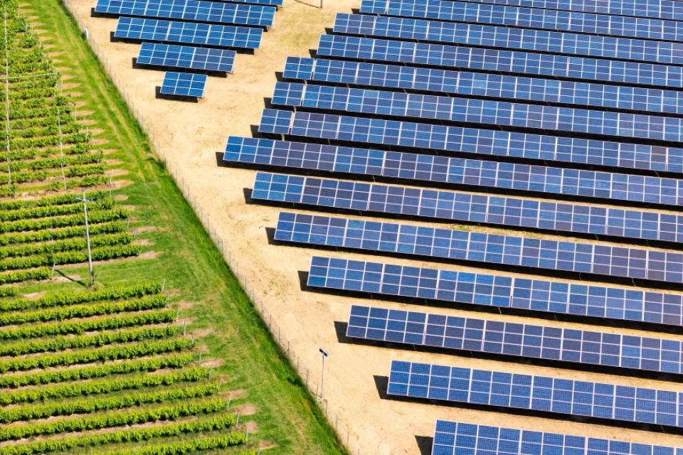 solar panels on green field