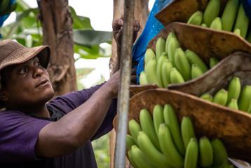 EBF Header image Costa Rica